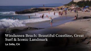 How to Spend a Perfect Day at Windansea Beach in La Jolla, CA | Tim Kirk | San Diego Real Estate