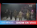 Los Impalas - Show en vivo año 91 en Venezolana de Televisión - Canal 8.