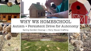 AUTISTIC BURNOUT TO HEALING | Persistent Drive for Autonomy | Why We Took Our Child Out of School