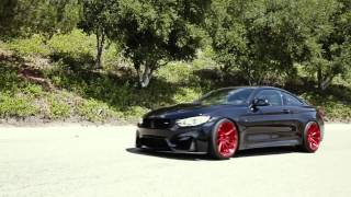ADV.1 Wheels BMW M4 Canyon Run | R1 Motorsport