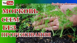 НАДЕЖНЫЕ СПОСОБЫ ПОСЕВА МОРКОВИ БЕЗ ПРОРЕЖИВАНИЯ.ЗАЩИТА ОТ МОРКОВНОЙ МУХИ.СЕЕМ БЕЗ ОШИБОК!