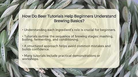 How Do Beer Tutorials Help Beginners Understand Brewing Basics? | The Pint Guy