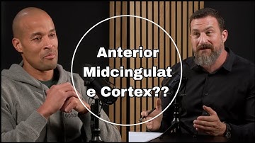 The mystery of Anterior Midcingulate Cortex.