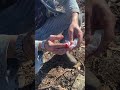 PART 2: Disaster struck #camping #hiking #forestcooking #dailyvlog