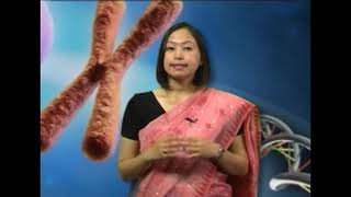 IMMUNOLOGY IMMUNOCHEMICAL TECHNIQUES   II  IMMUNODIFFUSION TEST