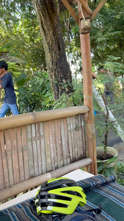 DinDin DinDun Panen Pisang