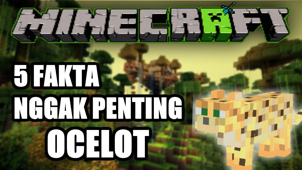 5 FAKTA NGGAK PENTING MINECRAFT Episode : OCELOT! - YouTube