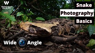 How to Shoot Wide Angle Photos! Snake Photography Basics with the Nikon FISHEYE 8-15mm f/3.5-4.5E ED