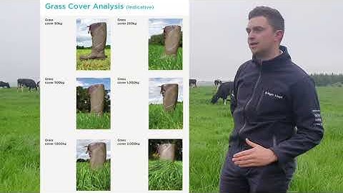 Focus on Butterfat at Grass