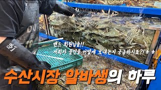 수산시장 알바생의 하루일과