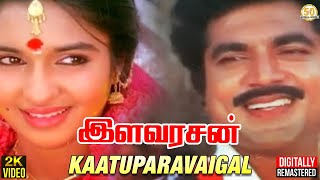 Ilavarasan Tamil Movie Songs | Kaatuparavaigal Video Song | Sarathkumar | Sukanya | SPB |  Deva