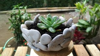 How To Make Stone Planter | DIY Succulent Planter