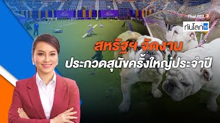 สหรัฐฯ จัดงานประกวดสุนัขครั้งใหญ่ประจำปี