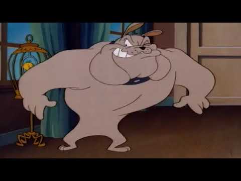 Sylvester Tweety Tweety Koruma Altında Türkçe Çizgi Film Sevimli Kahramanlar