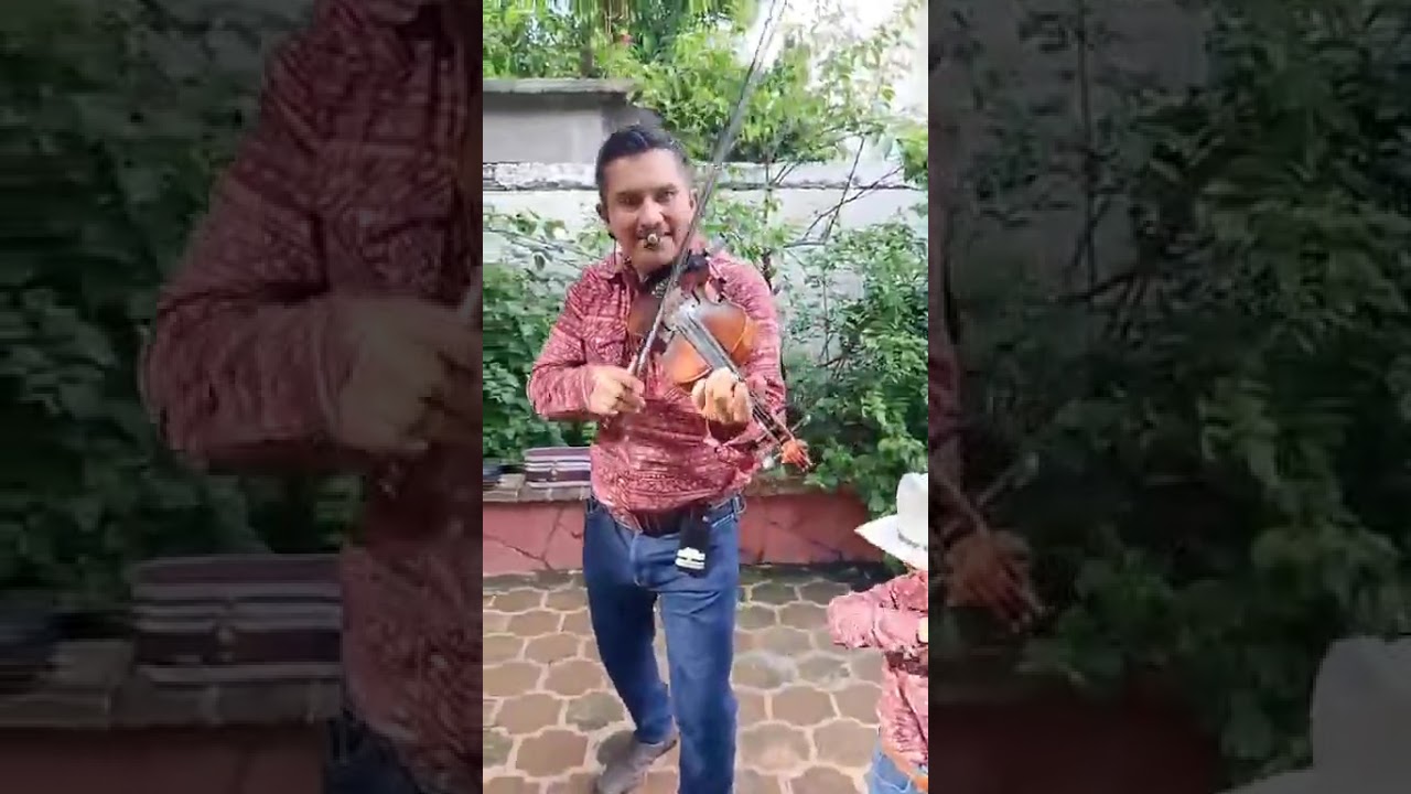 Gallitos del Bernal: huapango el caballito 🐎🐴