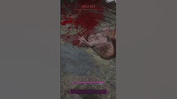 Fallout 4-Mutant Mole rat loses Braincells….#shorts #fallout4