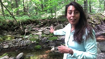 The Movement of Stream Sediment for Youth