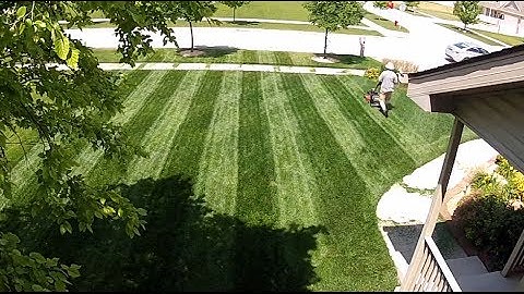 How To Mow Lawn Stripes Full Version (uncut)