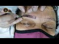 65 mi -Micropigmentação  Microblading - eyebrow micropigmentation Mikropigmentierung der Augenbrauen