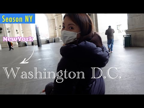 【NY→ワシントンD.C.】1泊2日アメリカ国内旅行に出発！【Season NY】