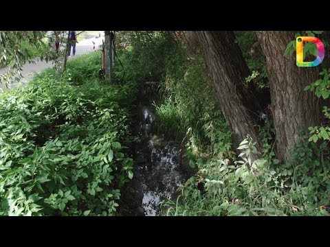 Соседские войны в Хлебниково: слив отходов стал яблоком раздора| Новости Долгопрудного