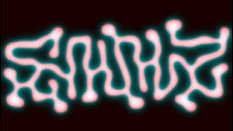 FitzHugh-Nagumo - Tip Splitting