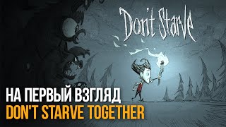 Don&#39;t Starve Together по сети - #1 На первый взгляд