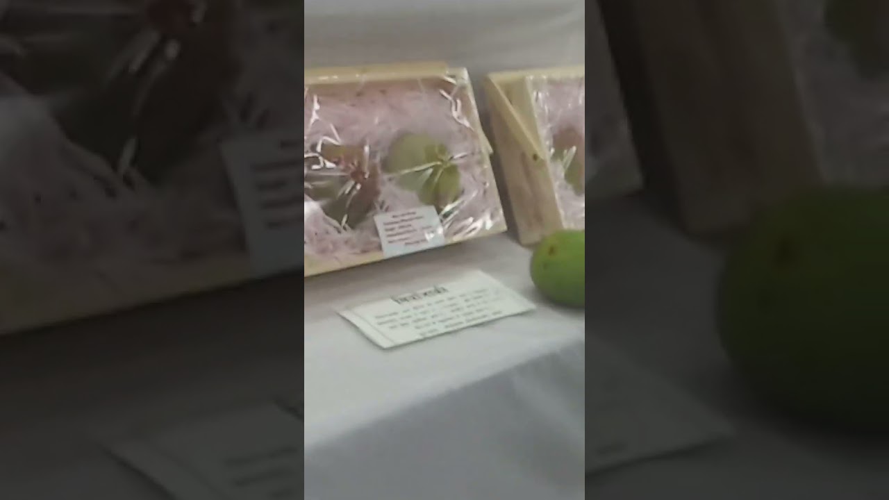 2.7lakh per kg Raipur National Mango festival 2024 IGKV