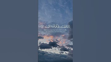 سورة المؤمنون ياسر الدوسري #ياسر_الدوسري #محمد_اللحيدان #تلاوة_خاشعة #القرآن_الكريم