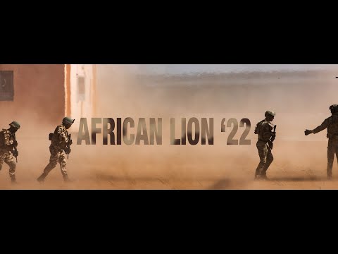 African Lion 22