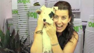 Concurso Video Reportaje Llao Llao