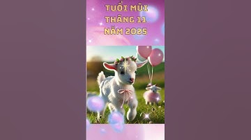 VẬN MAY TUỔI  MÙI  THÁNG 11 NĂM 2025