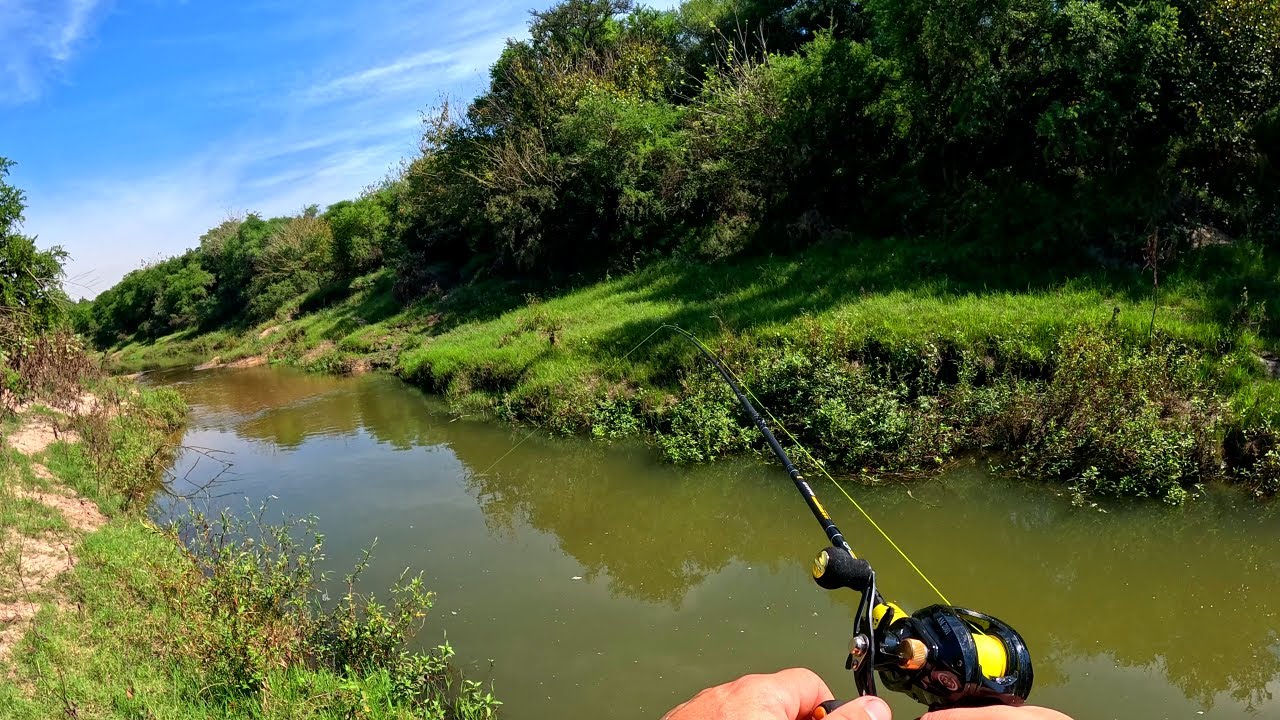 pescando y cocinando en un arroyito contaminado, bagres fritos al aire libre, pesca de barrio
