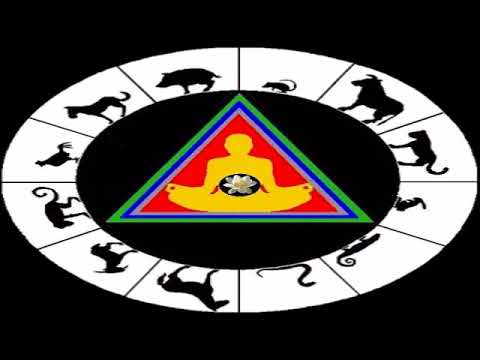 Capricorn and the astrological wheel: santos bonacci