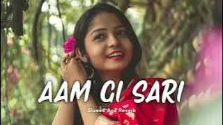 Aam Gi Sari  ||  Santali  Lofi Song | ( Slowed   Reverb ) Shibam 2.0