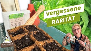Ansaat-Premiere: Kennst du diese alte Gemüsesorte?