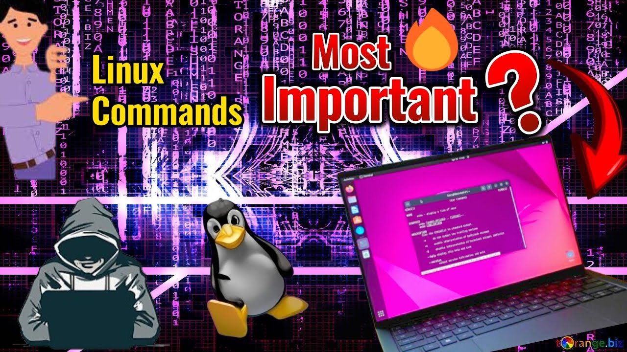 The Most Popular Linux & Terminal Commands - For Beginners (In 18 ...