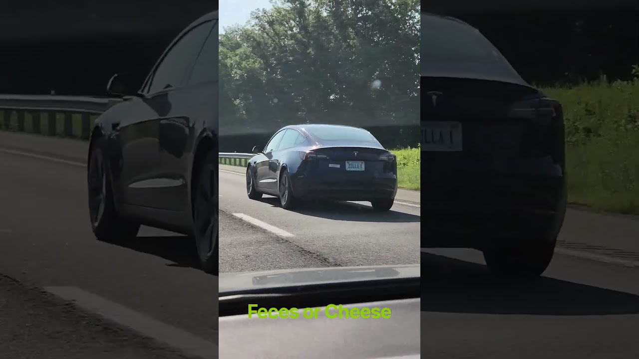 Custom Plates 520 #licenseplate #youtubeshorts #viralshorts #cars #tesla #teslamodel3 #zulla #feces