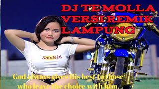 Dj te molla Terbaru 2020 versi remik lampung