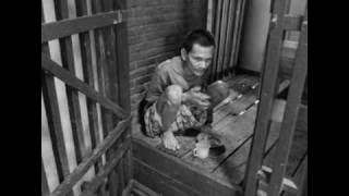 Stevie Wonder - Pastime Paradise