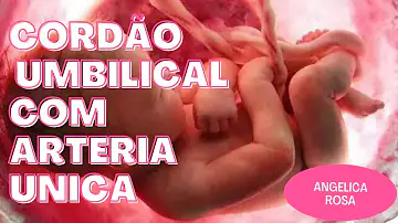 Que tipo de órgãos e tecidos podem ser doados em vida?