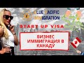 START UP VISA за $30?? 🇨🇦  БИЗНЕС ИММИГРАЦИЯ В КАНАДУ