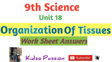 9th Std Science Work Book Unit 18 Organization Of Tissues Work Sheet 18 Answer