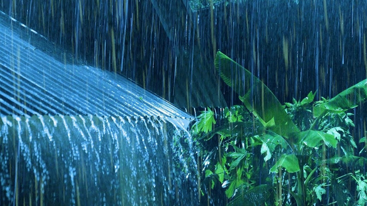 Relieve Stress Immediately to Sleep Soundly with Heavy Rain & Thunder Sounds on a Tin Roof at Night