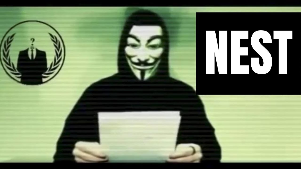 Nest Protocol NEST HODLERS⚠️ WARNING 🚨ANONYMOUS🚨
