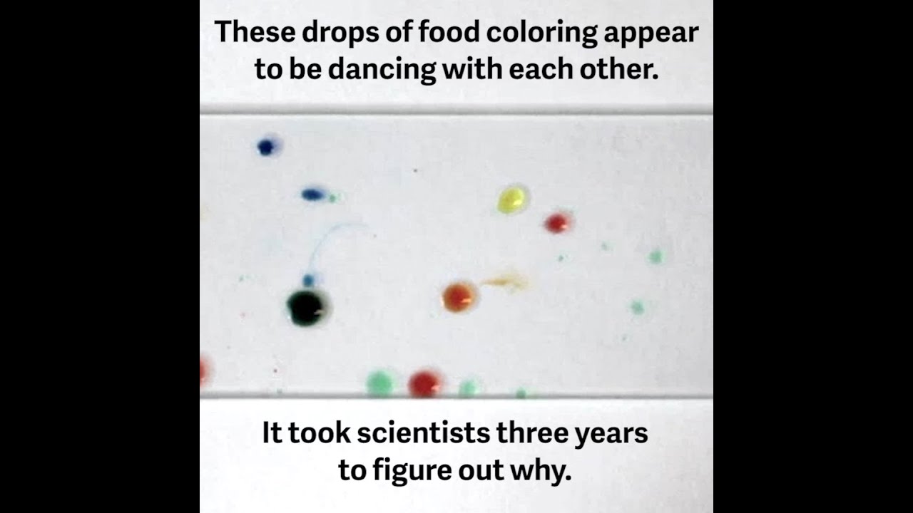 Why these colored water droplets seem to be alive