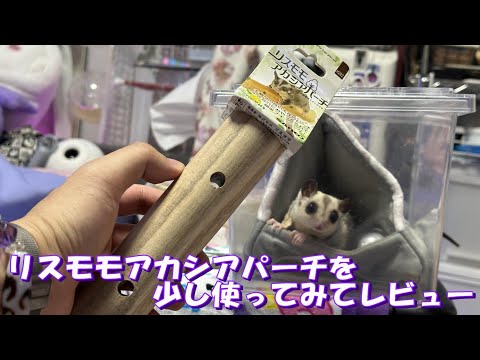 【フクモモ】リスモモアカシアパーチを少し使ってみてレビュー【vlog】