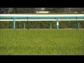 小さな約束(ライブ)isamu