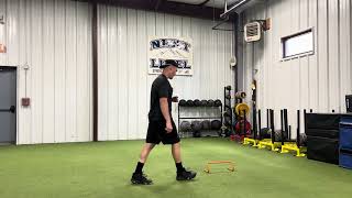 Forward Hurdle Hop into Reactive Lateral Leap