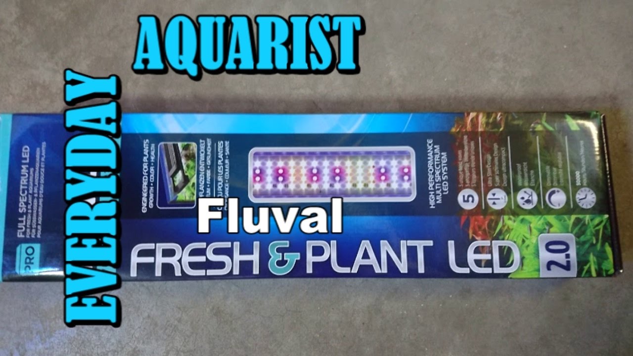 Fluval Fresh and Plant 2.0 LED Light Overview Review - YouTube